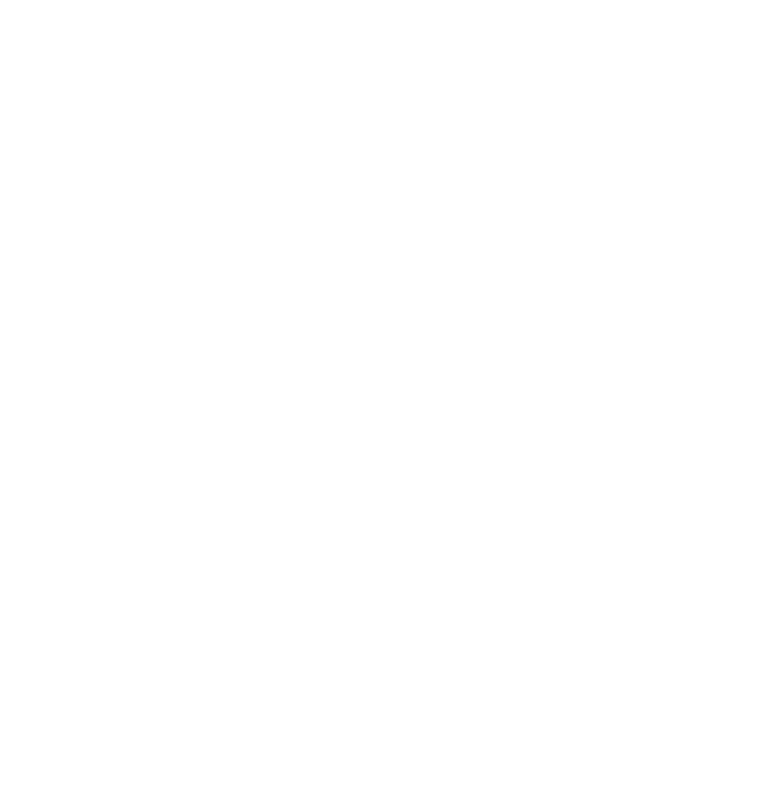 A1_Logo_Weiss