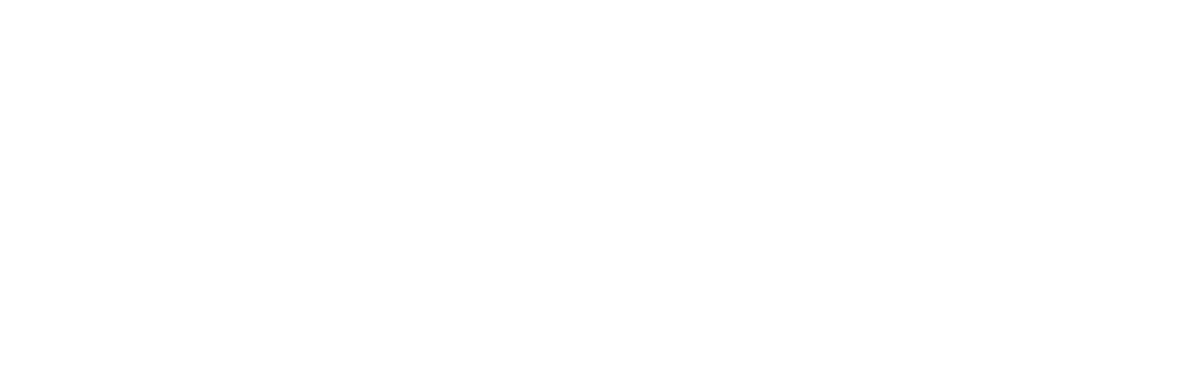 Partsch_Logo_Weiss
