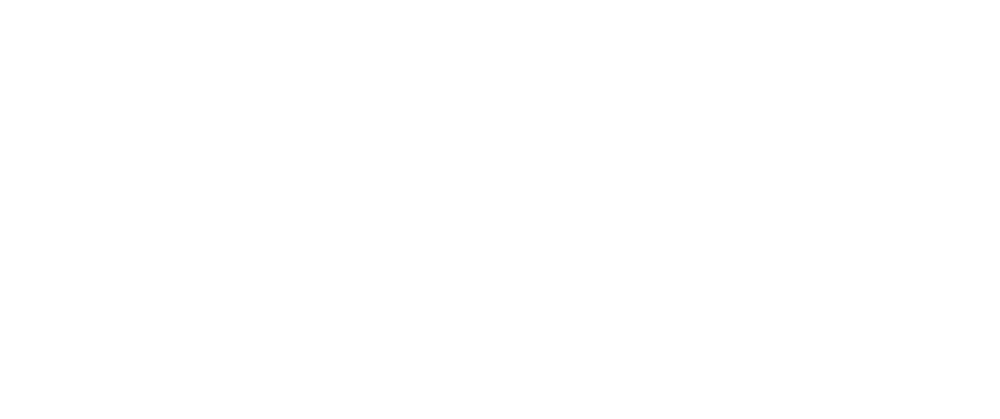 PdG_Logo_weiss