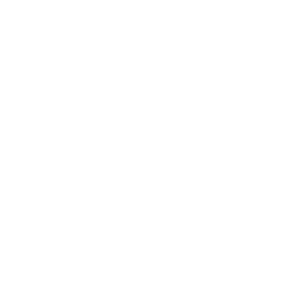 Schober-Logo-White