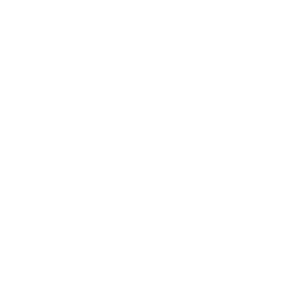 Steigflug-logo-White