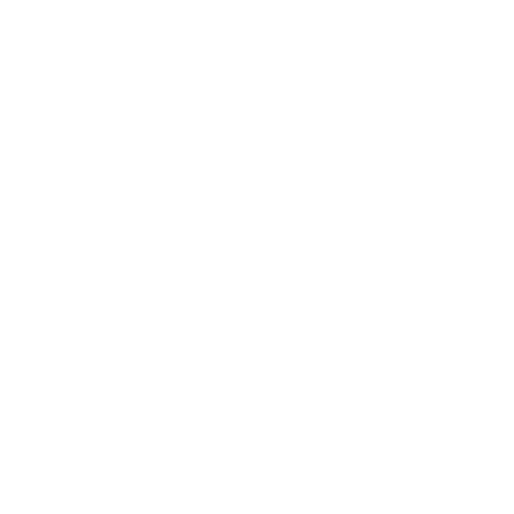 ZTE-Logo-White